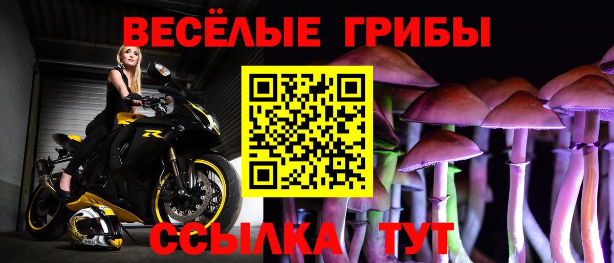 Псилоцибиновые грибы Cubensis Минеральные Воды