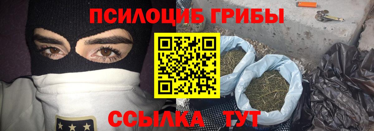 Минеральные Воды  Галлюциногенные грибы прущие грибы  Вход с VPN 